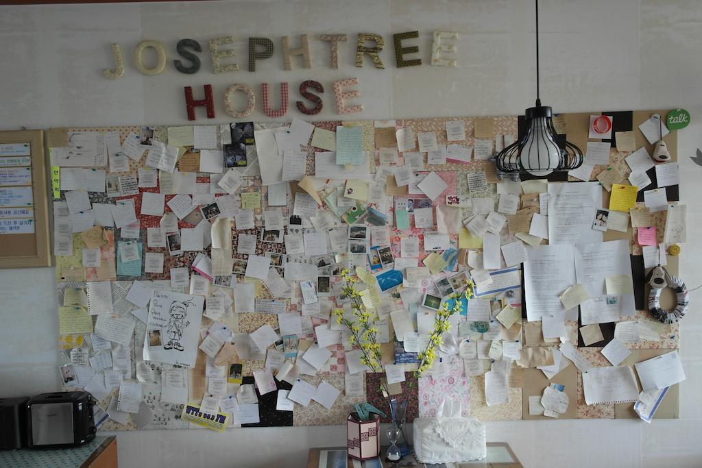 Joseph Tree Guest House Csedzsu Kültér fotó